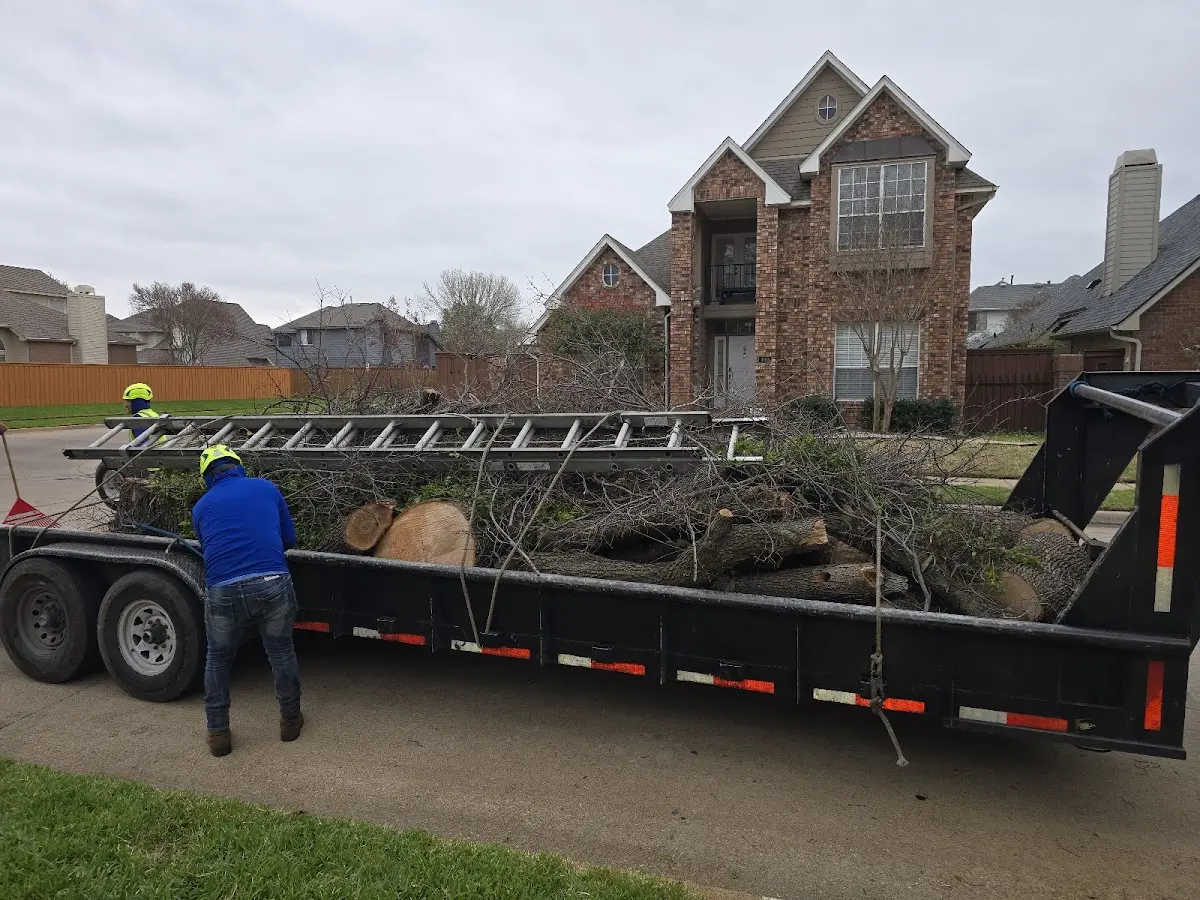 Expert Tree Fertilization with proper safety equipment in Laurie